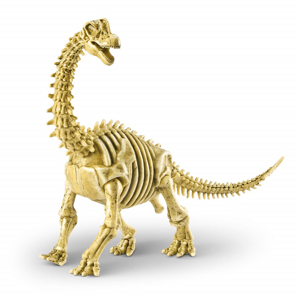 SET DE JUEGO GRANDE DESCUBRE DINO FOSILES - Imagen 4